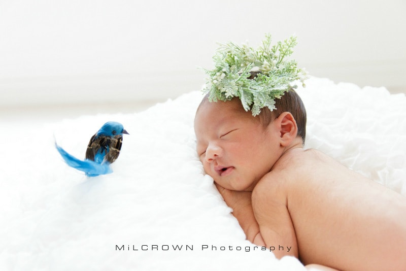 MiLCROWN ニューボーンフォト