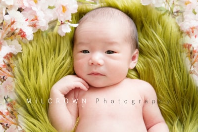 ミルクラウンのニューボーンフォト　お客様の声