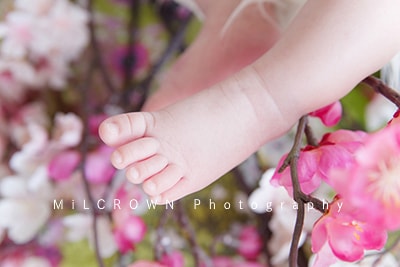 ミルクラウンのニューボーンフォト　お客様の声