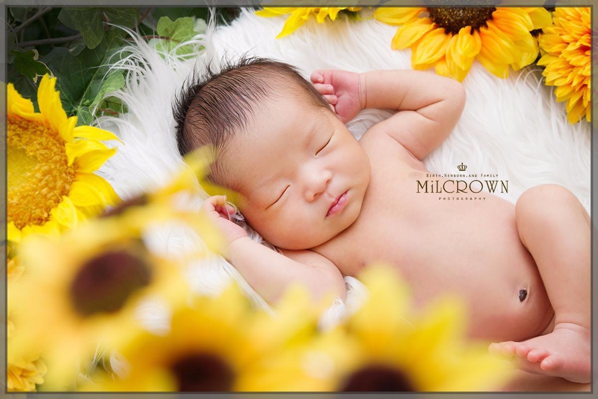 MiLCROWN ニューボーンフォト　東京・関東